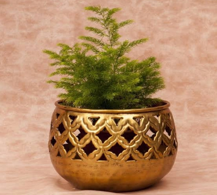 brass pots for plants india online Brass Planter, Decorative Flower Pot for Indoor and Outdoor – Ashtok