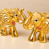 Close-up view of a decorative Brass Elephant Idol Pair showcasing detailed traditional carvings, raised curved trunks, ornamental headpieces, beautifully sculpted ears, expressive black and white eyes and intricate embossed designs along the elephant bodies. The polished golden brass surface highlights decorative circular patterns, textured detailing and four-legged miniature statue construction. Each elephant measures 2 inches long, 1 inch wide and 1.5 inches high.