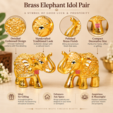 Detailed features image of a Brass Elephant Idol Pair highlighting intricate embossed traditional patterns, ornamental head decorations, raised curved trunks, polished golden brass finish and compact decorative design. The set contains two matching miniature elephant statues, each measuring 2 inches long, 1 inch wide and 1.5 inches high. Close-up feature sections showcase the elaborate body engravings, decorative circular motifs, sculpted ears, painted eyes and four sturdy legs.